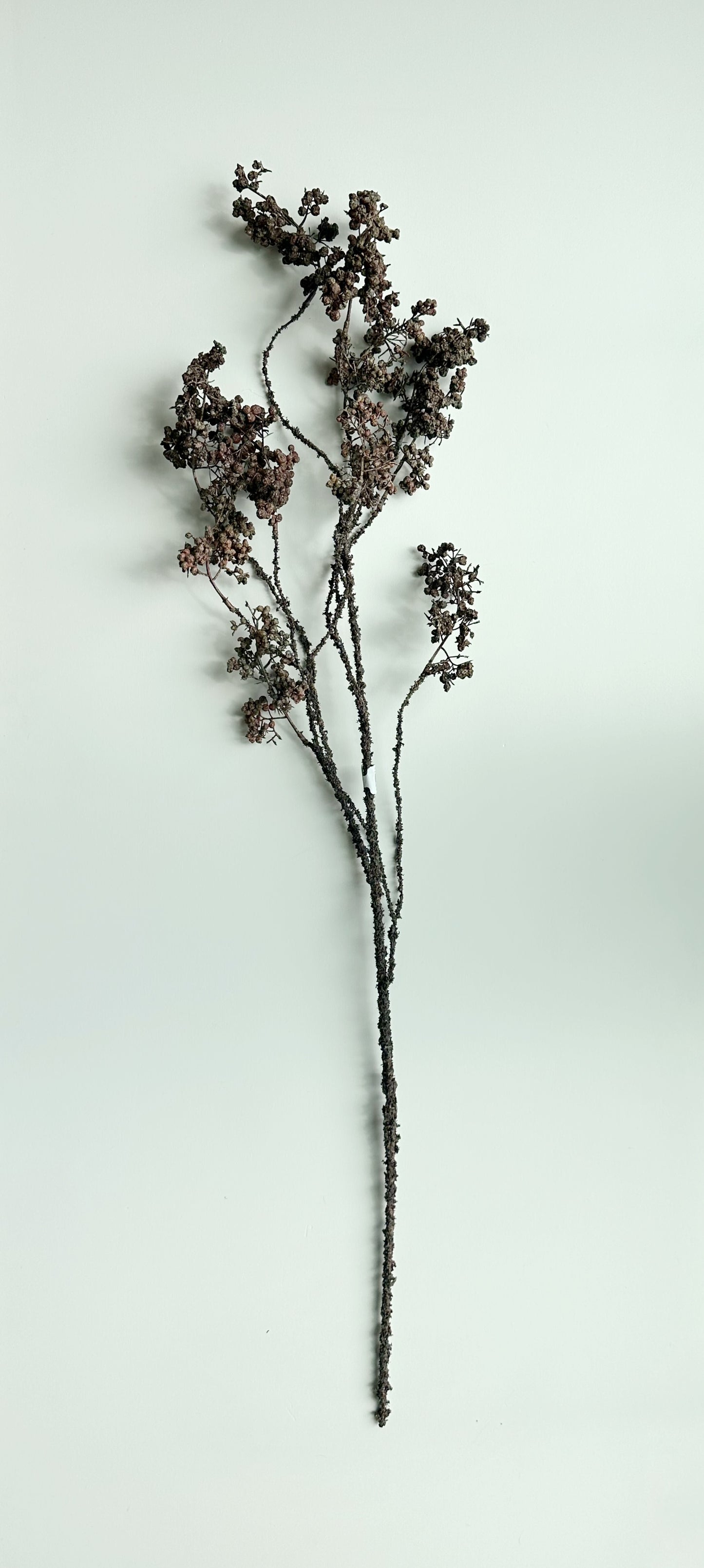 Pod Spray Stem -Brown