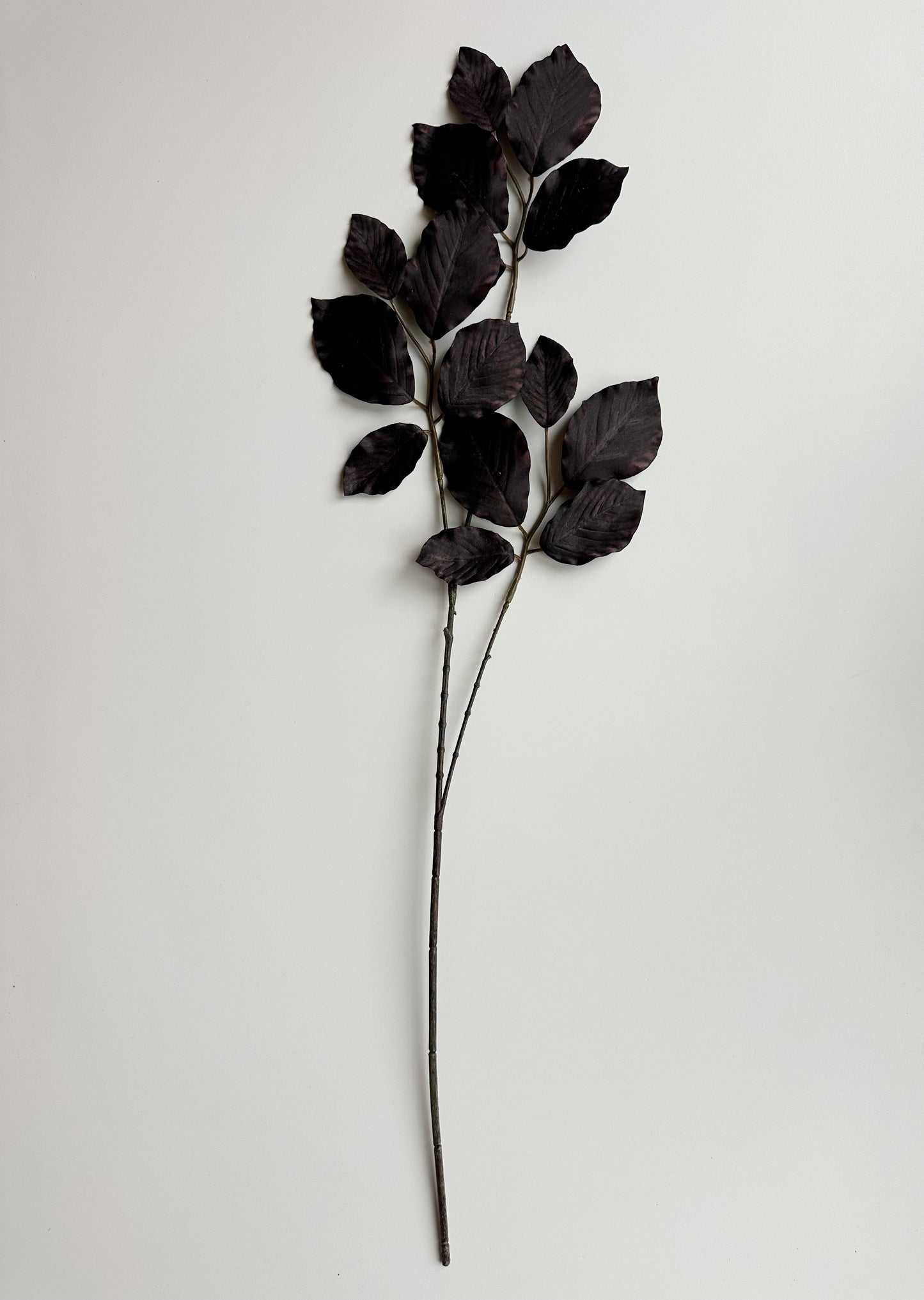 Dark Beech Leaf Spray