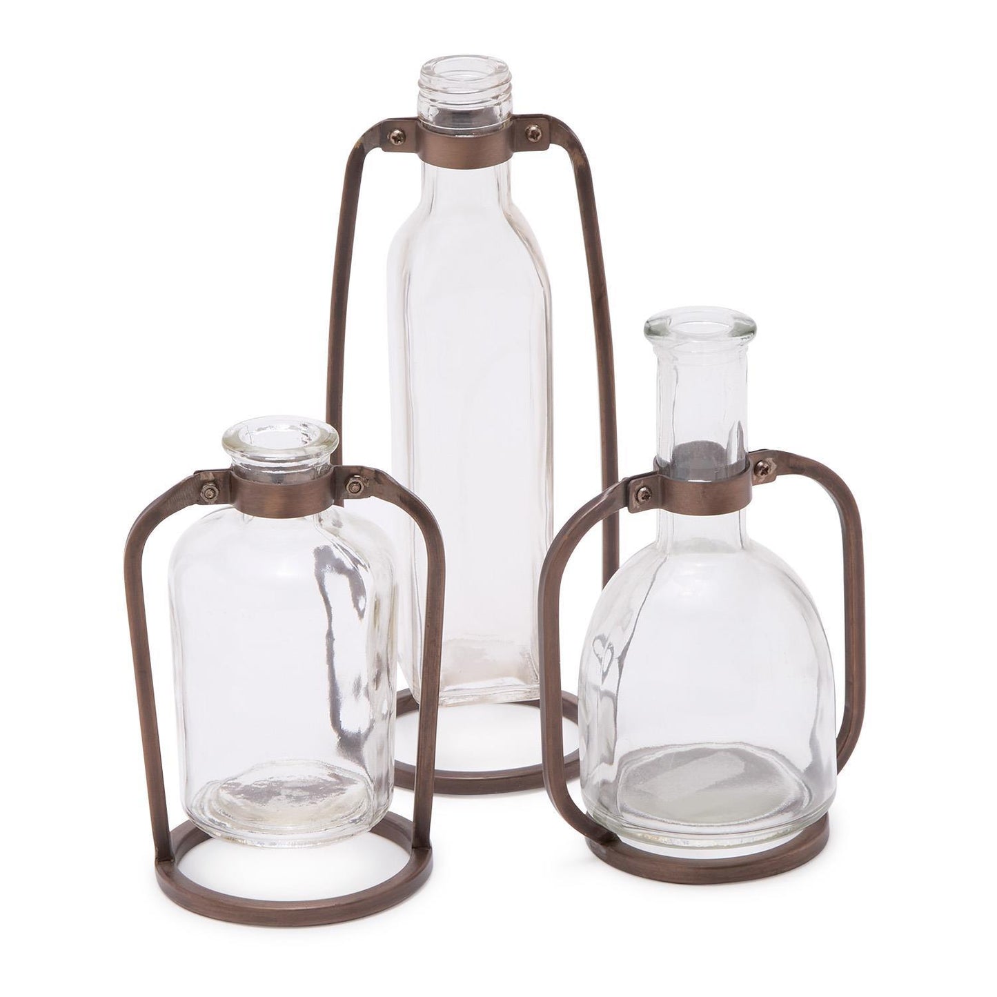 Glass Bottle Vases with Metal Stand
