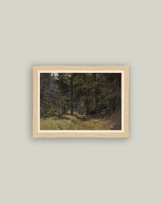 The Road in the Forest: 6x4