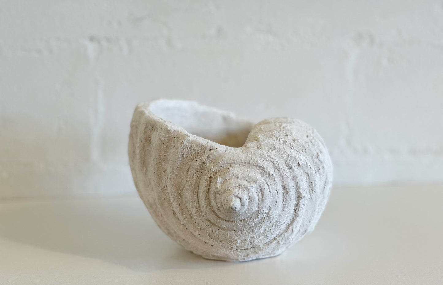 WHITE WEATHERED CONCH SHELL