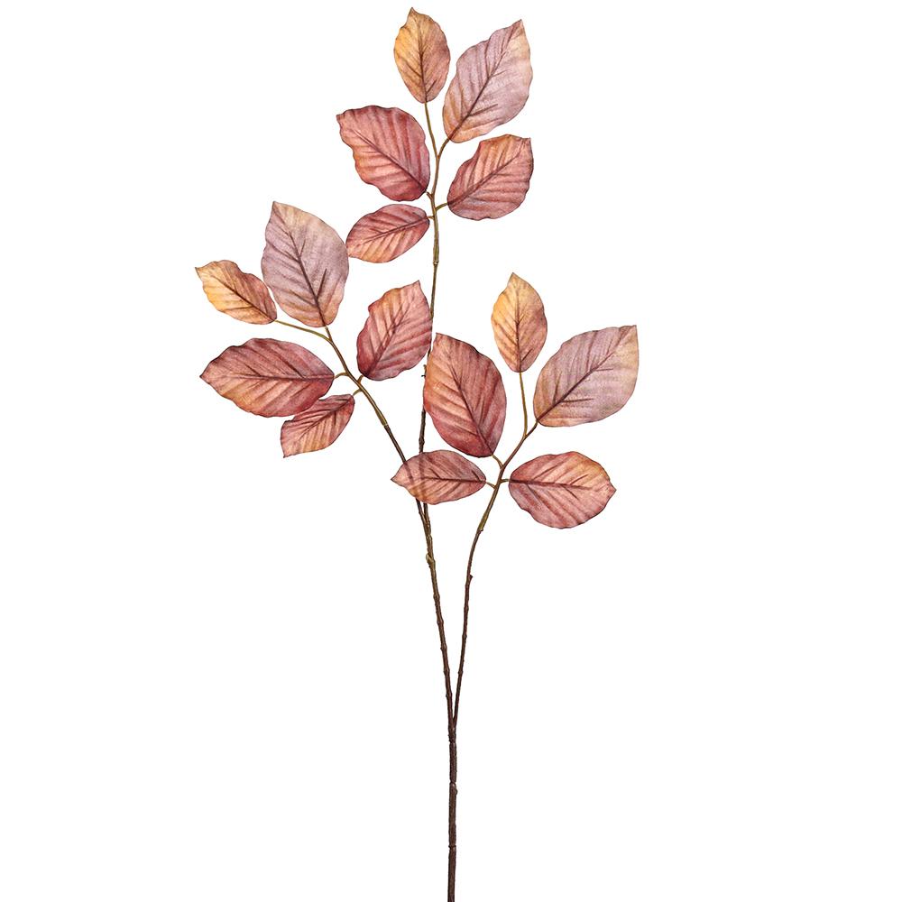 Brown Beech Leaf Spray