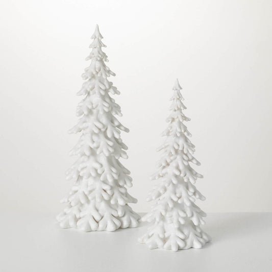 Snow Covered Pine Tree