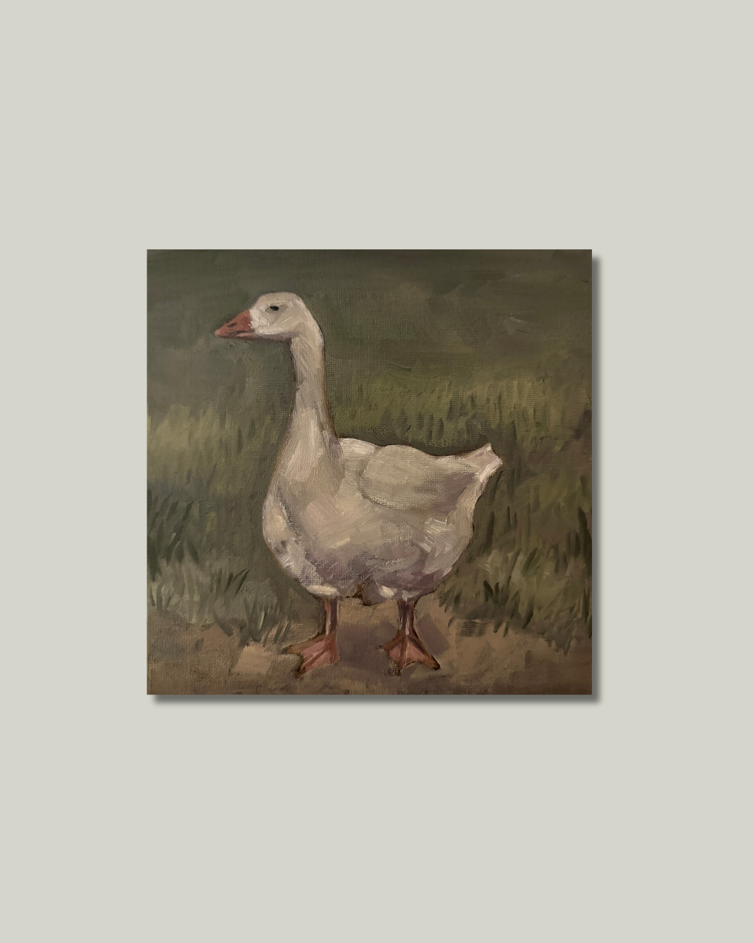 "Mr.Goose" Print: 5x5 Print