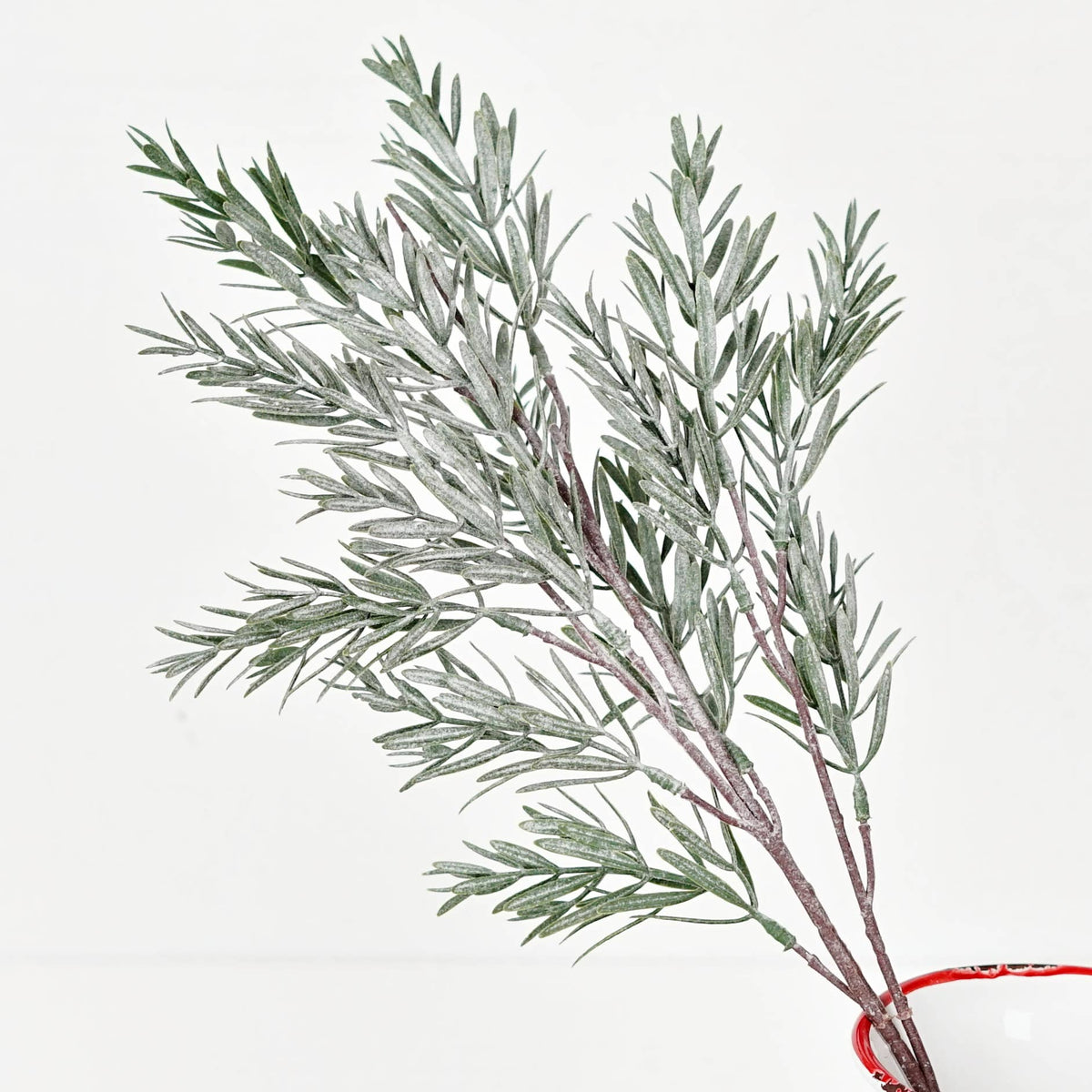 24in Spray-Frosted Rosemary pine spray