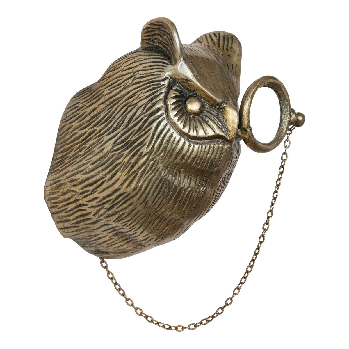 Cast Aluminum Owl Head with Monocle Wall Decor, Antique Brass Finish