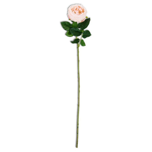LIGHT PINK REAL TOUCH AUSTIN ROSE STEM