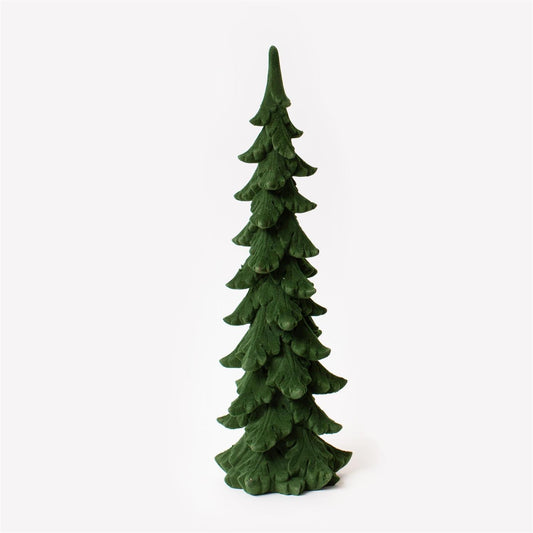 ALPINE PENCIL FIR