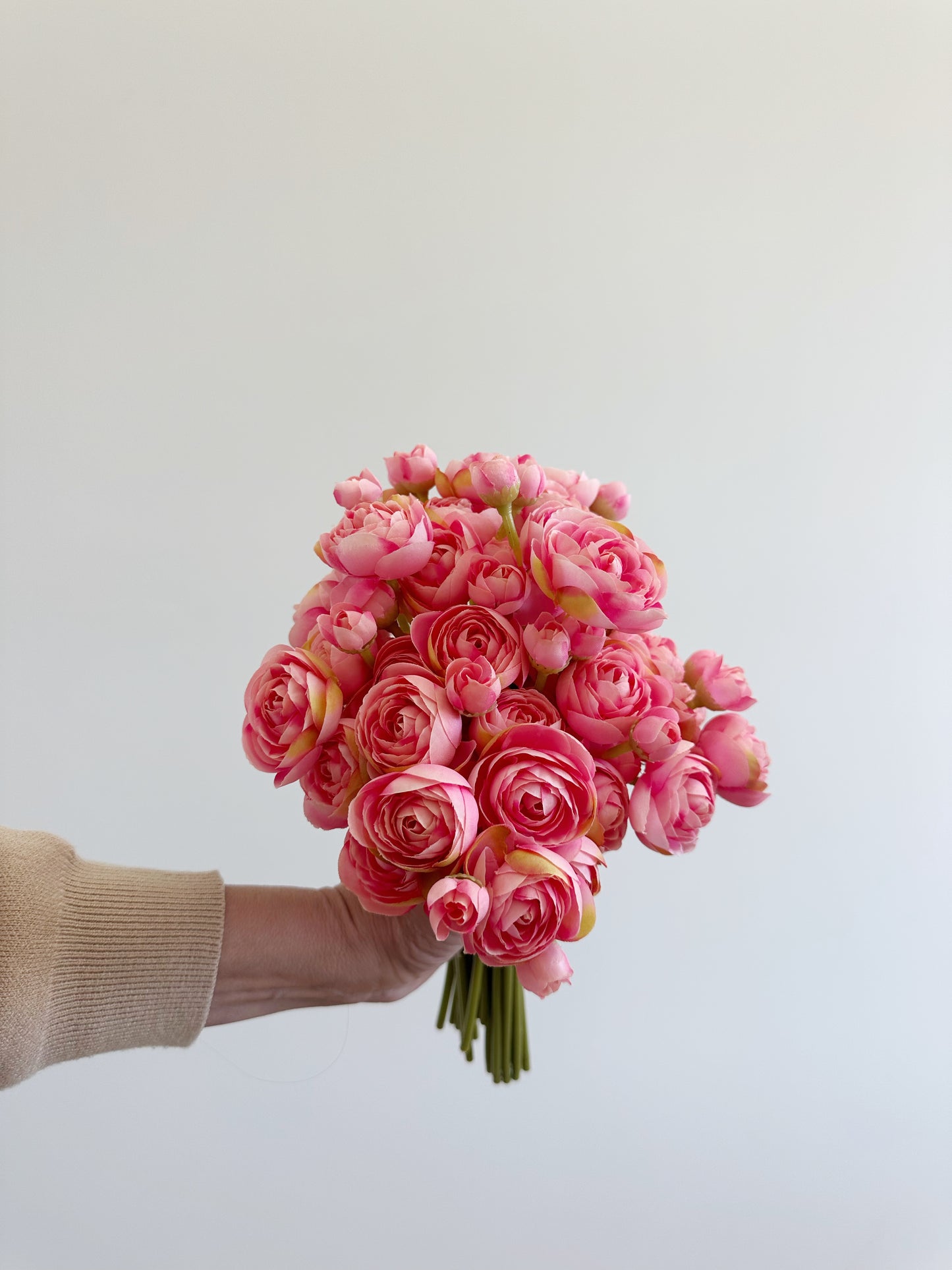 Pink Mini Ranunculus Bundle (7 Stems)