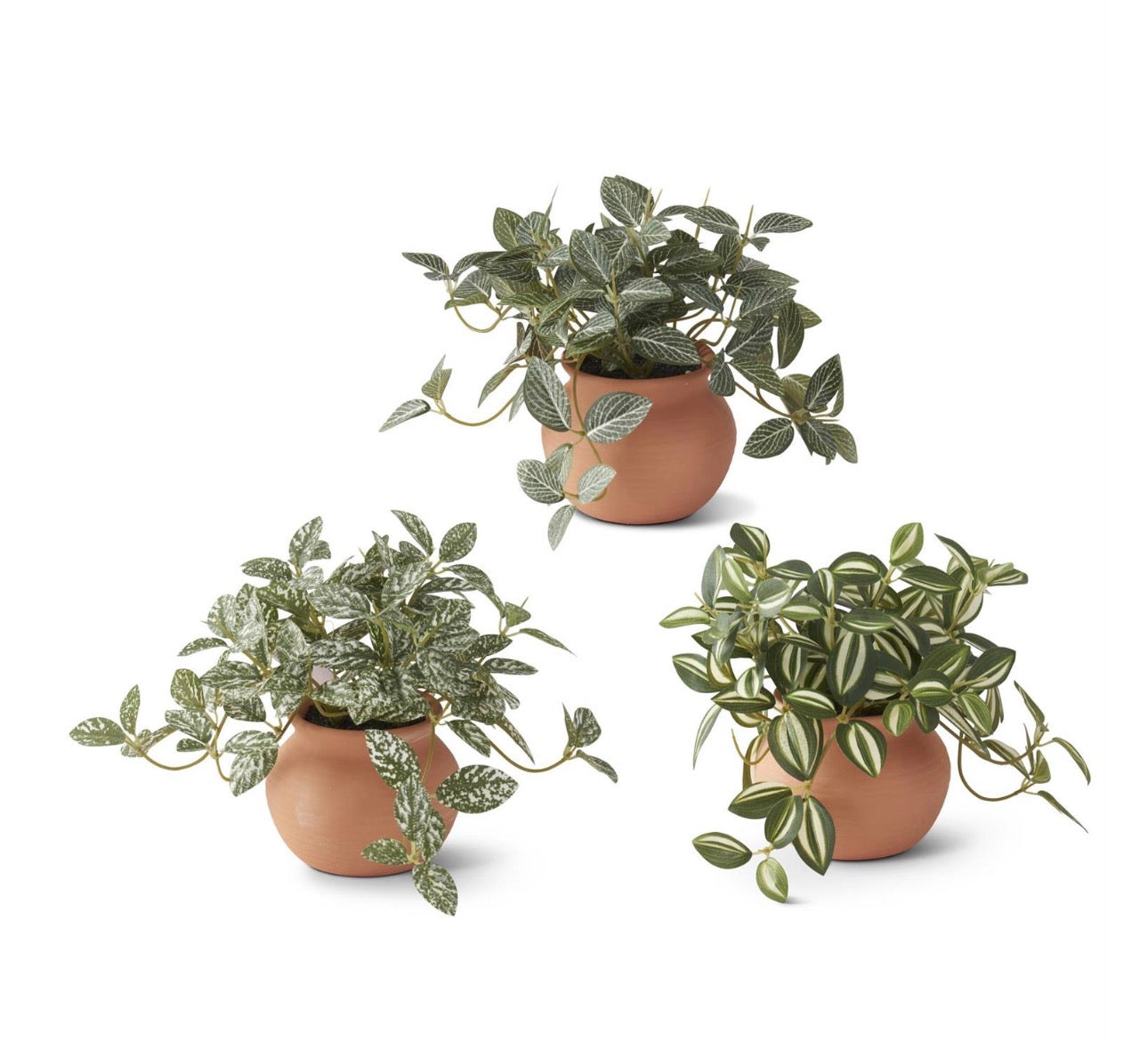 CERAMIC POTTED PLANTS (3 STYLES TO CHOOE FROM)