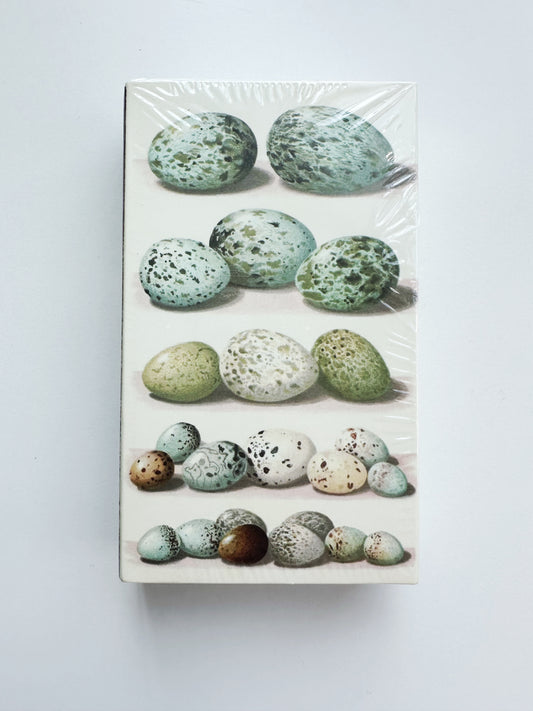 Bird Eggs Matchbox