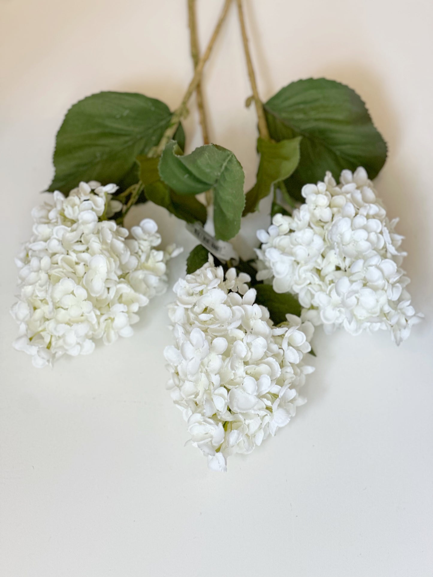 Cone Hydrangea Spray Ivory