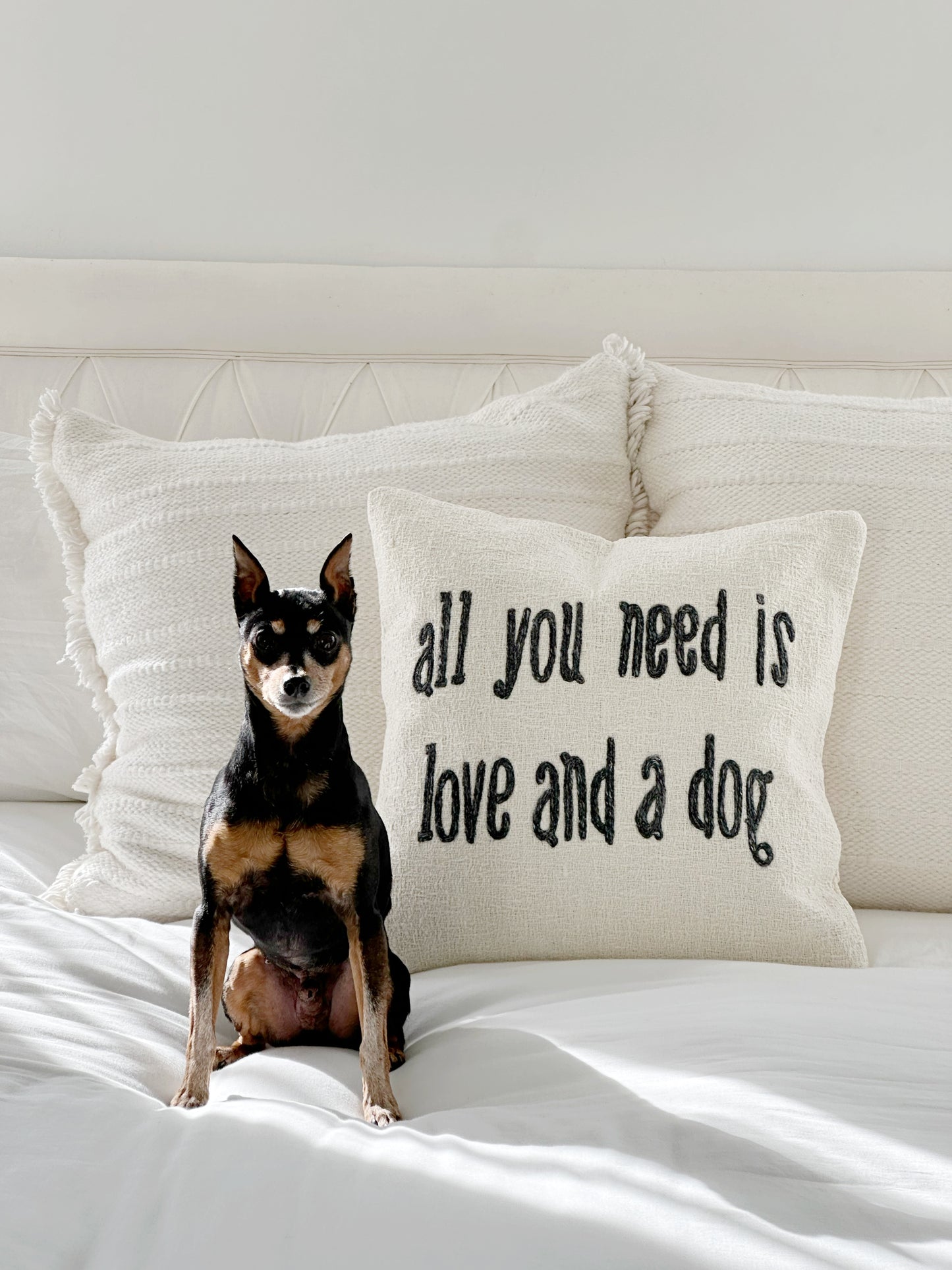 All you need is Love and a Dog Pillow