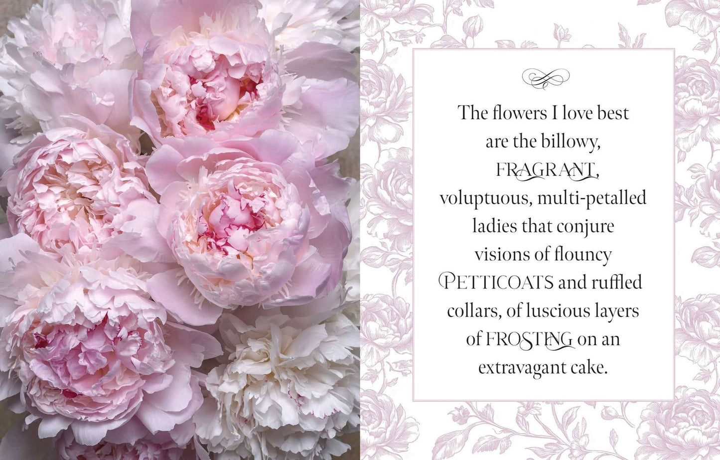 Beautiful Blooms: A Photographic Celebration