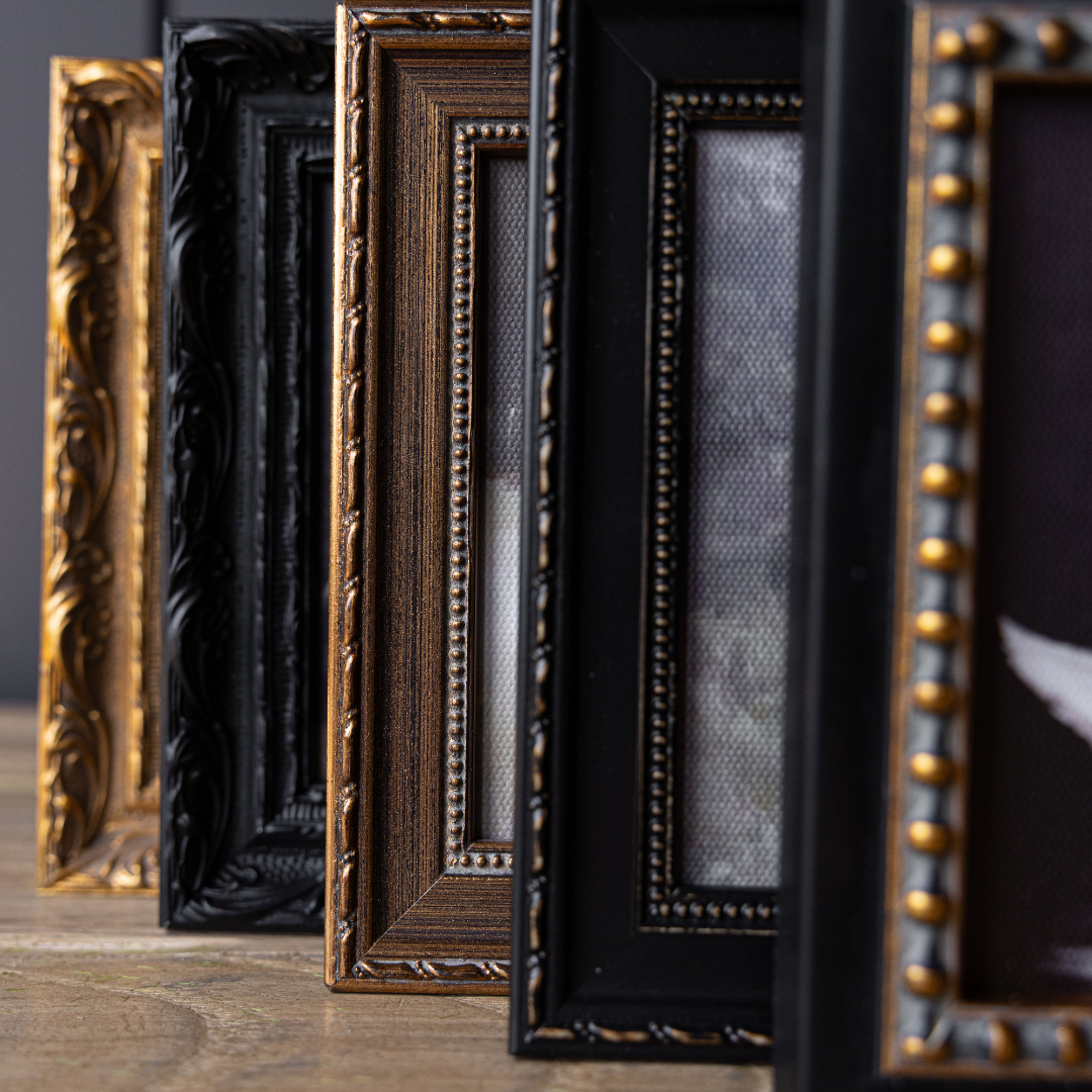 Monteverde Sketch | French Brass Gold Mould Framed Art: 8 x 10