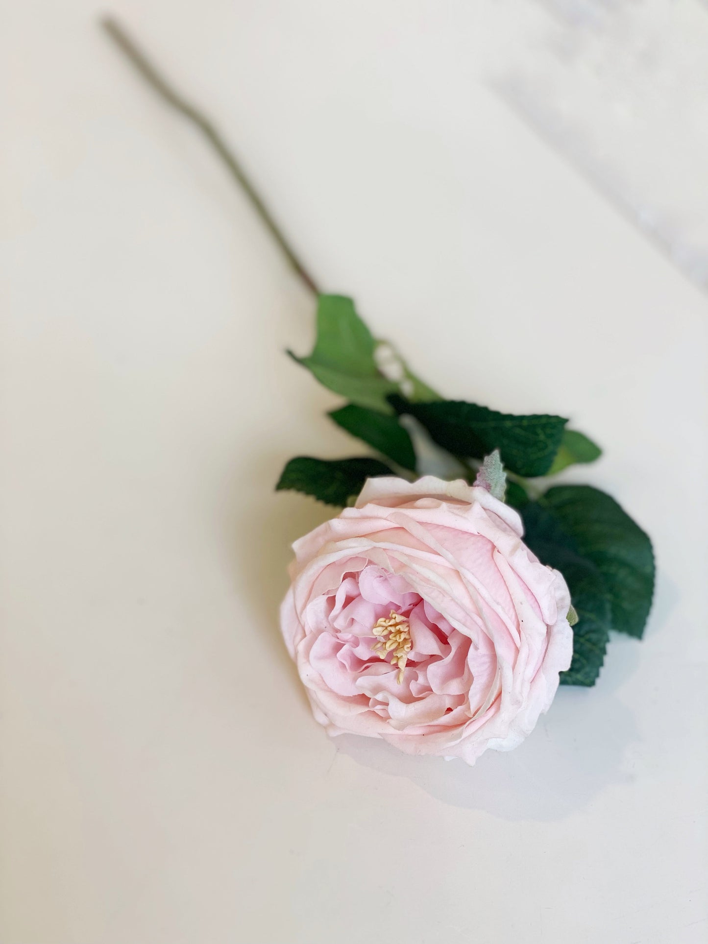 LIGHT PINK REAL TOUCH AUSTIN ROSE STEM