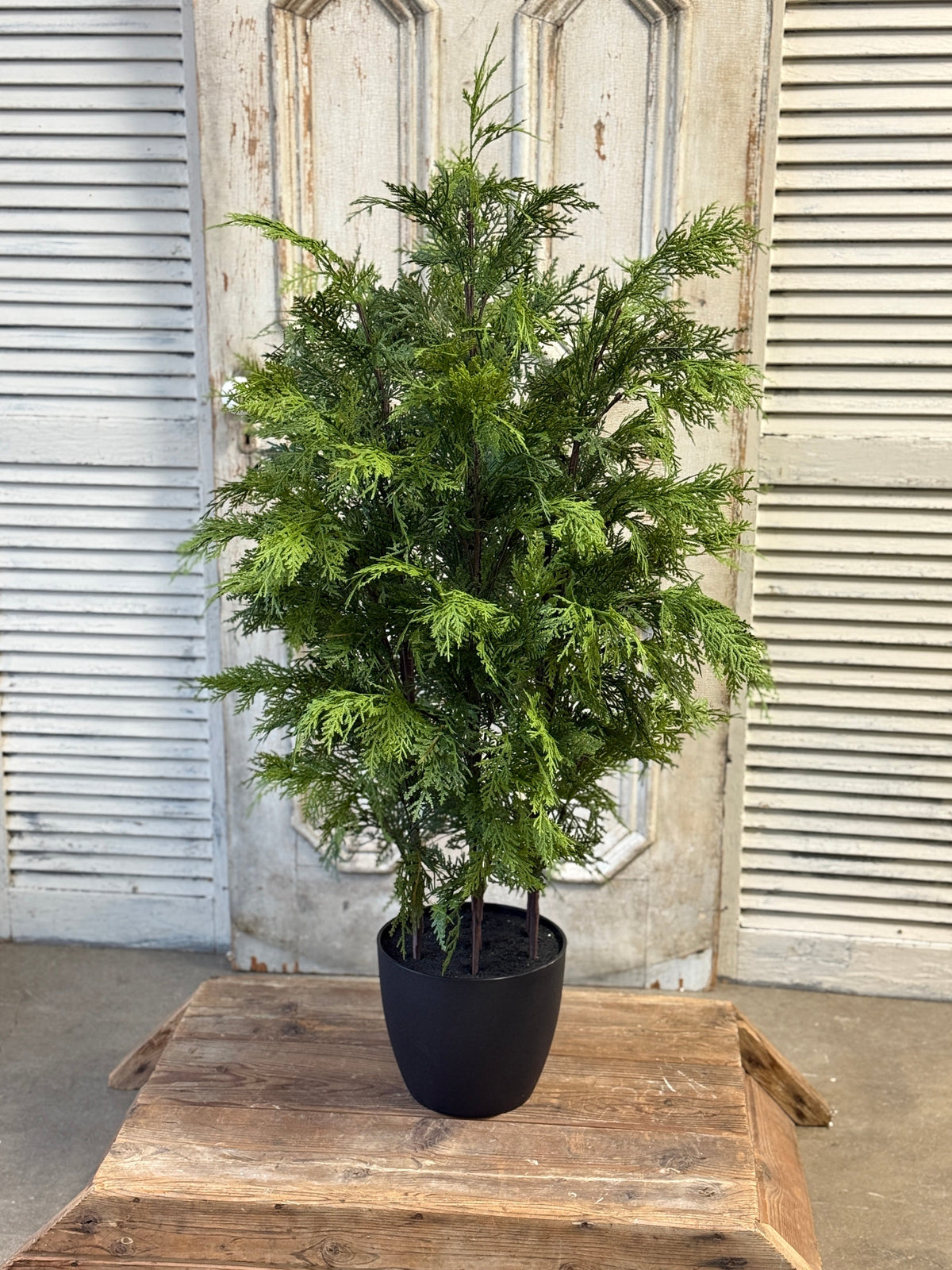 Churchill Cypress Tree 48"