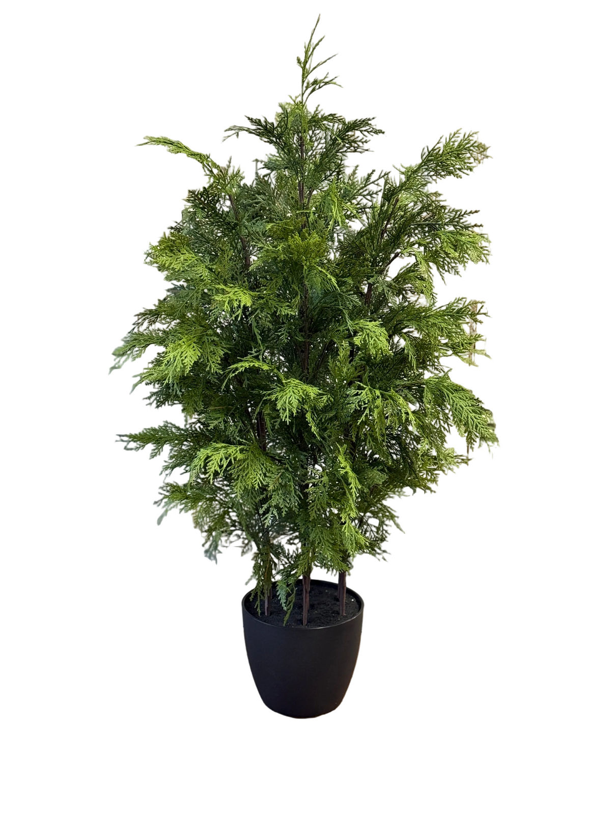 Churchill Cypress Tree 48"