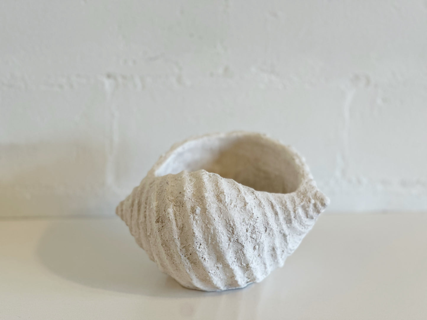 WHITE WEATHERED CONCH SHELL