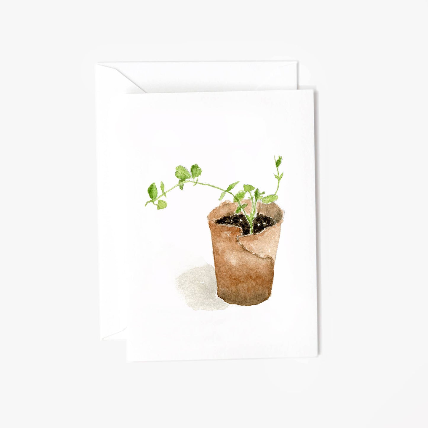 Sweet pea mini notecards