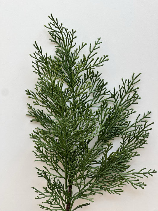Cedar Spray Stem