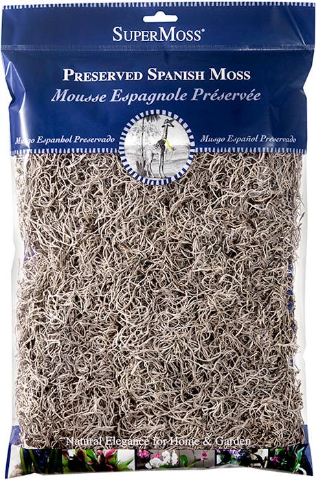 Preserved Spanish Moss: Natural