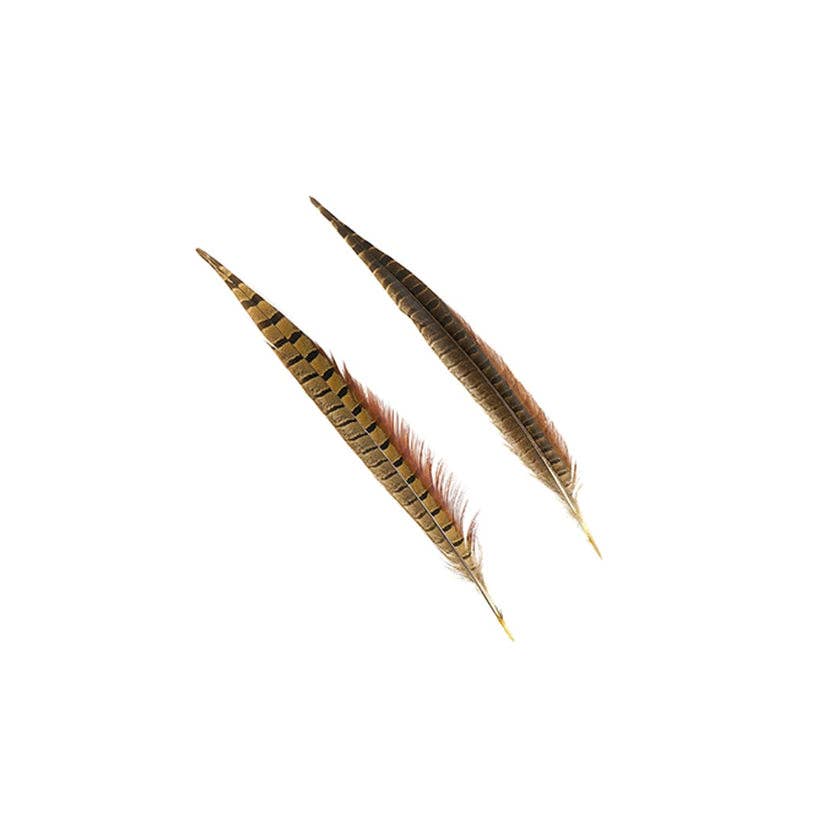 Ringneck Pheasant Tails 12-16" - Natural