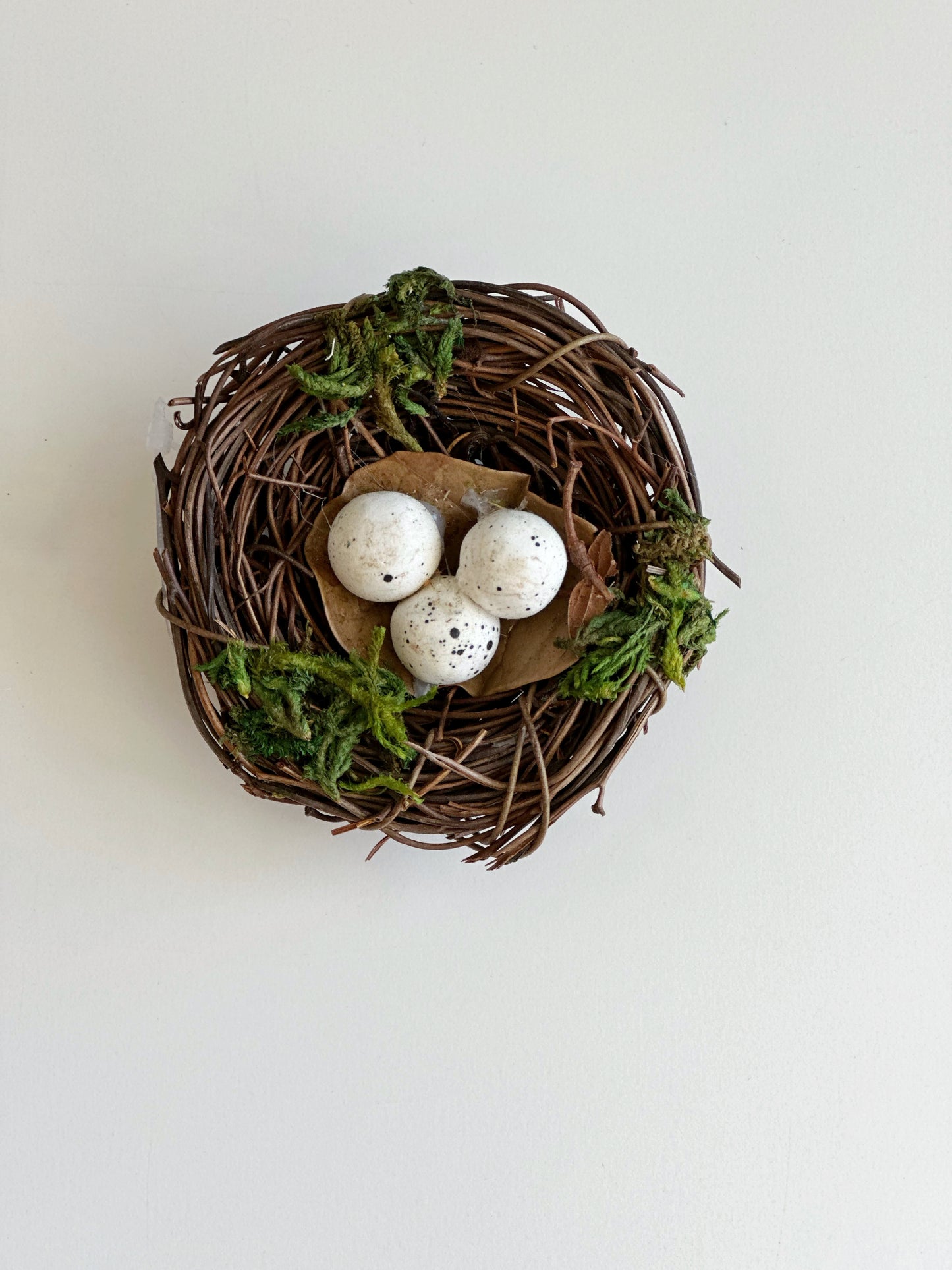 2.5 INCH MINIATURE NEST W/EGGS