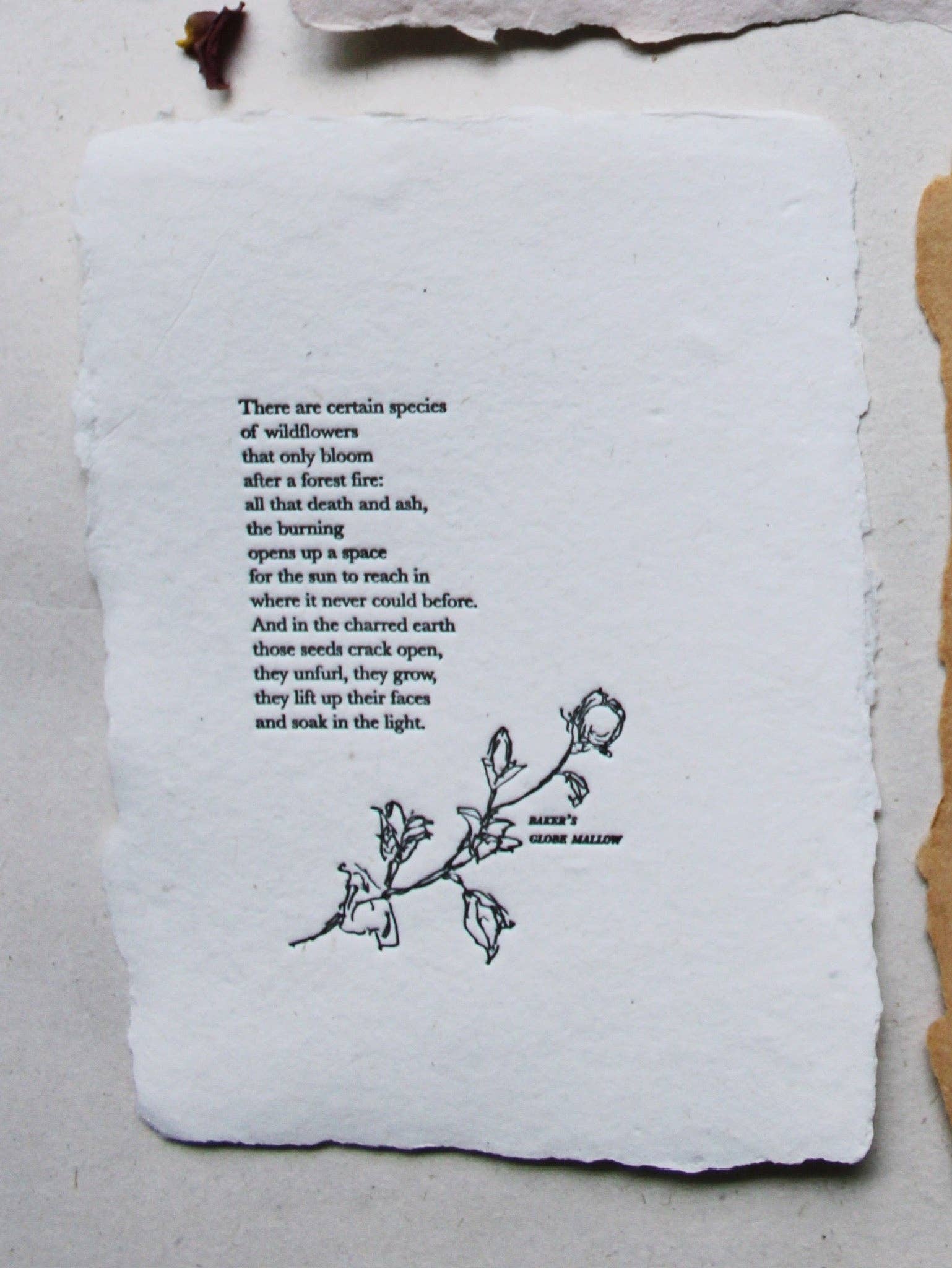 Art Prints V: Wildflower/wildfire poem – Vintage Barn Chicks