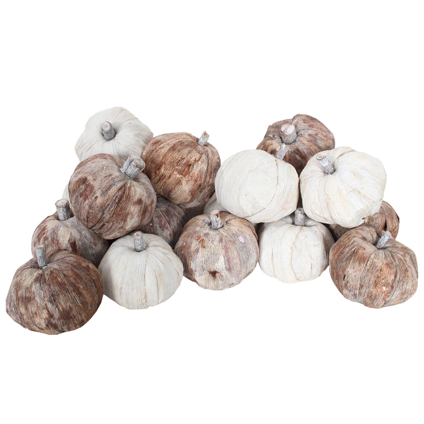 Dried Exotics Pumpkins White/Natural: White/Natural-1