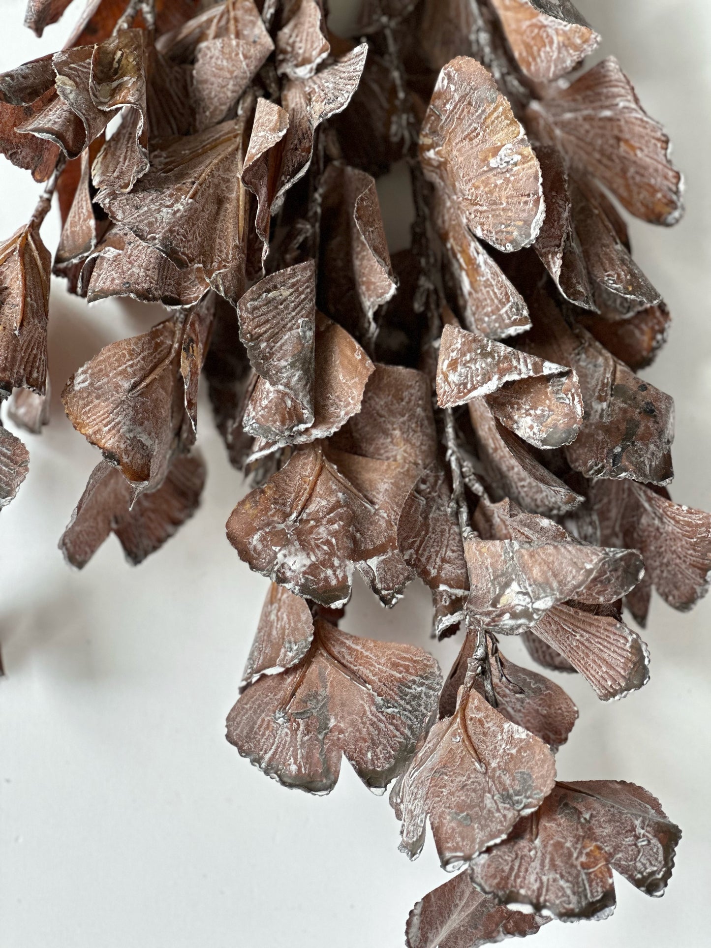 Brown Autumn Leaves Branch
