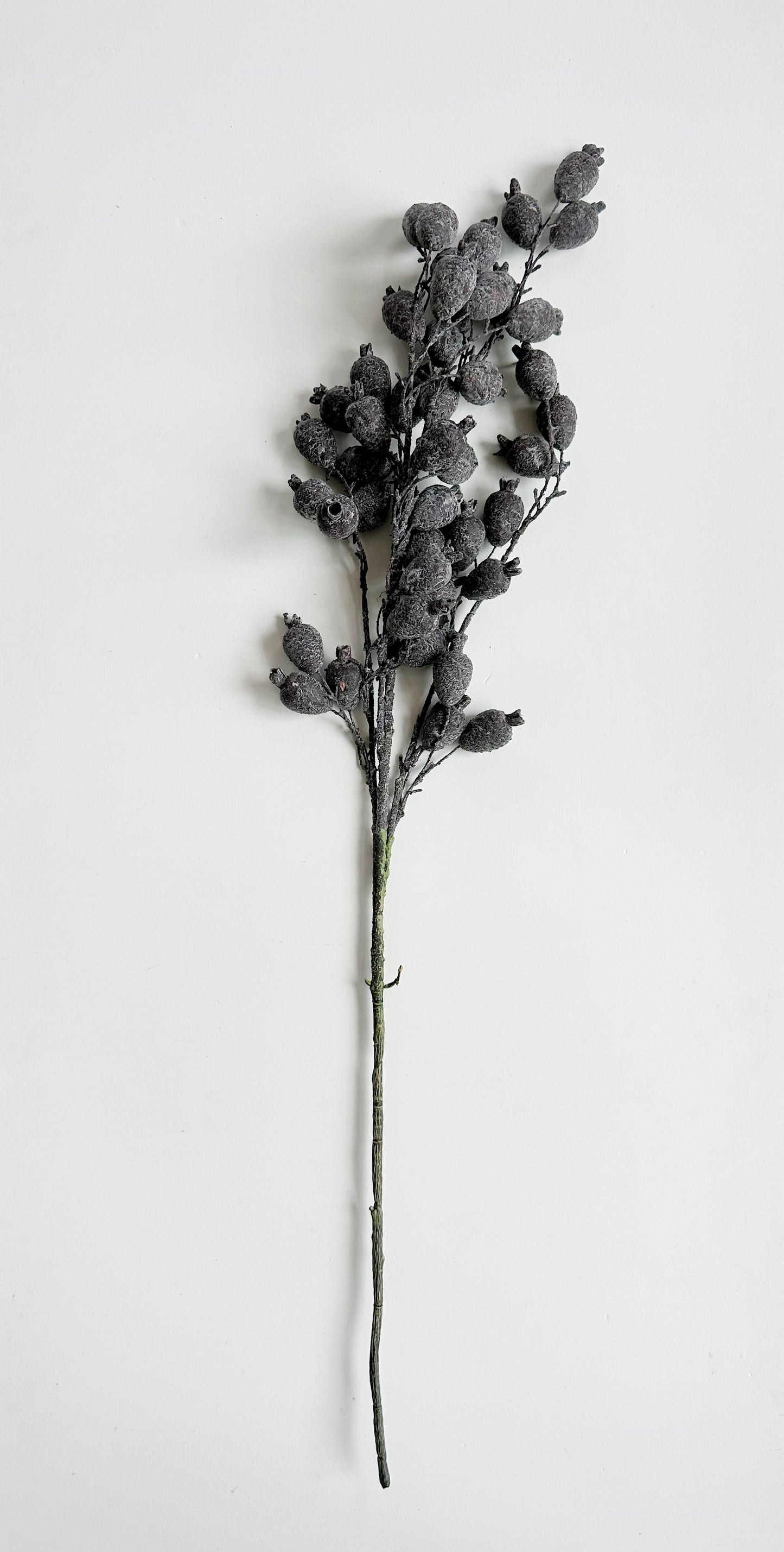 Dried Pod Branch, Dark Purple