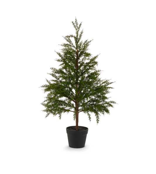36" Potted Cedar Tree