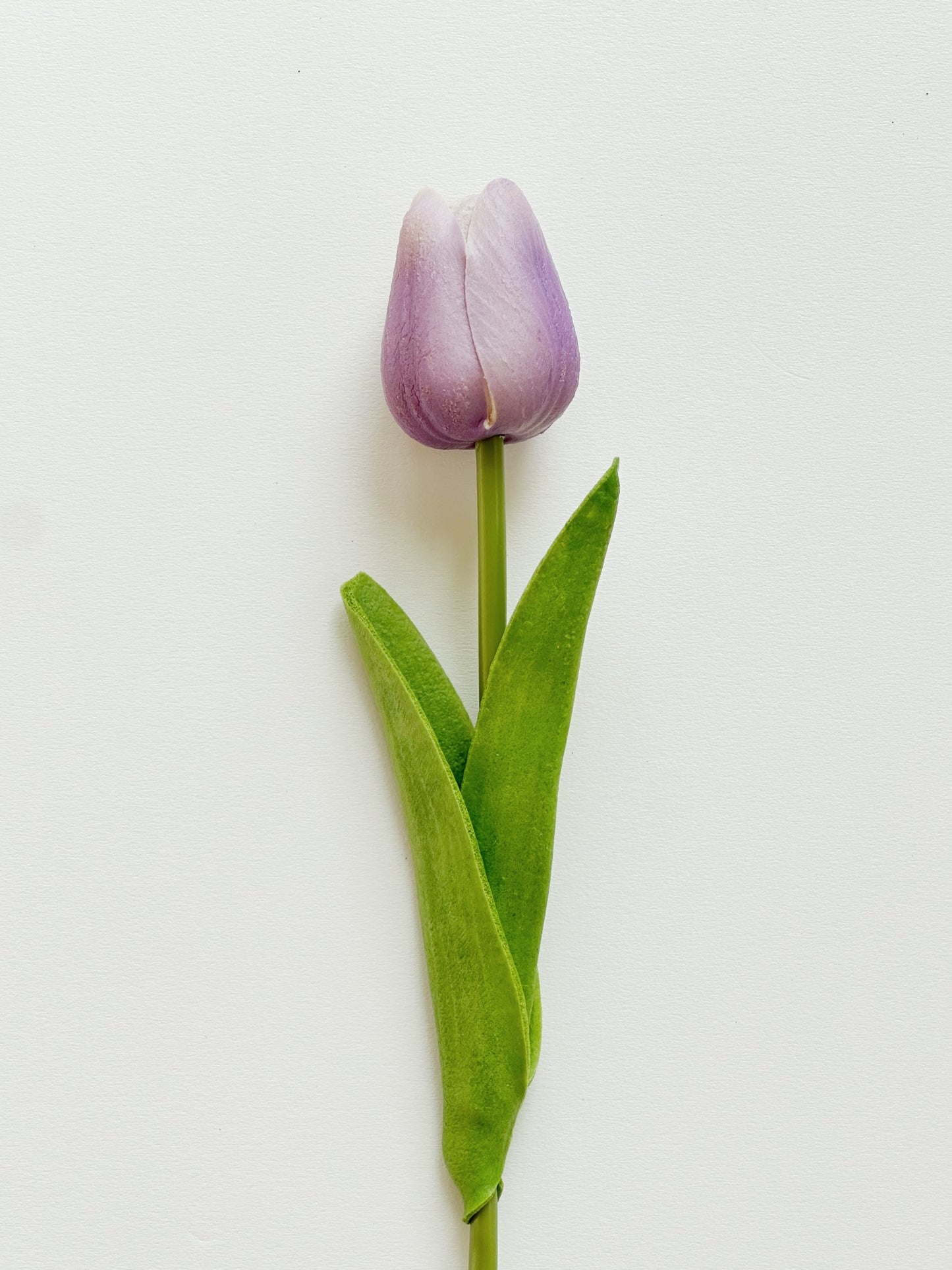 Real Touch Tulips