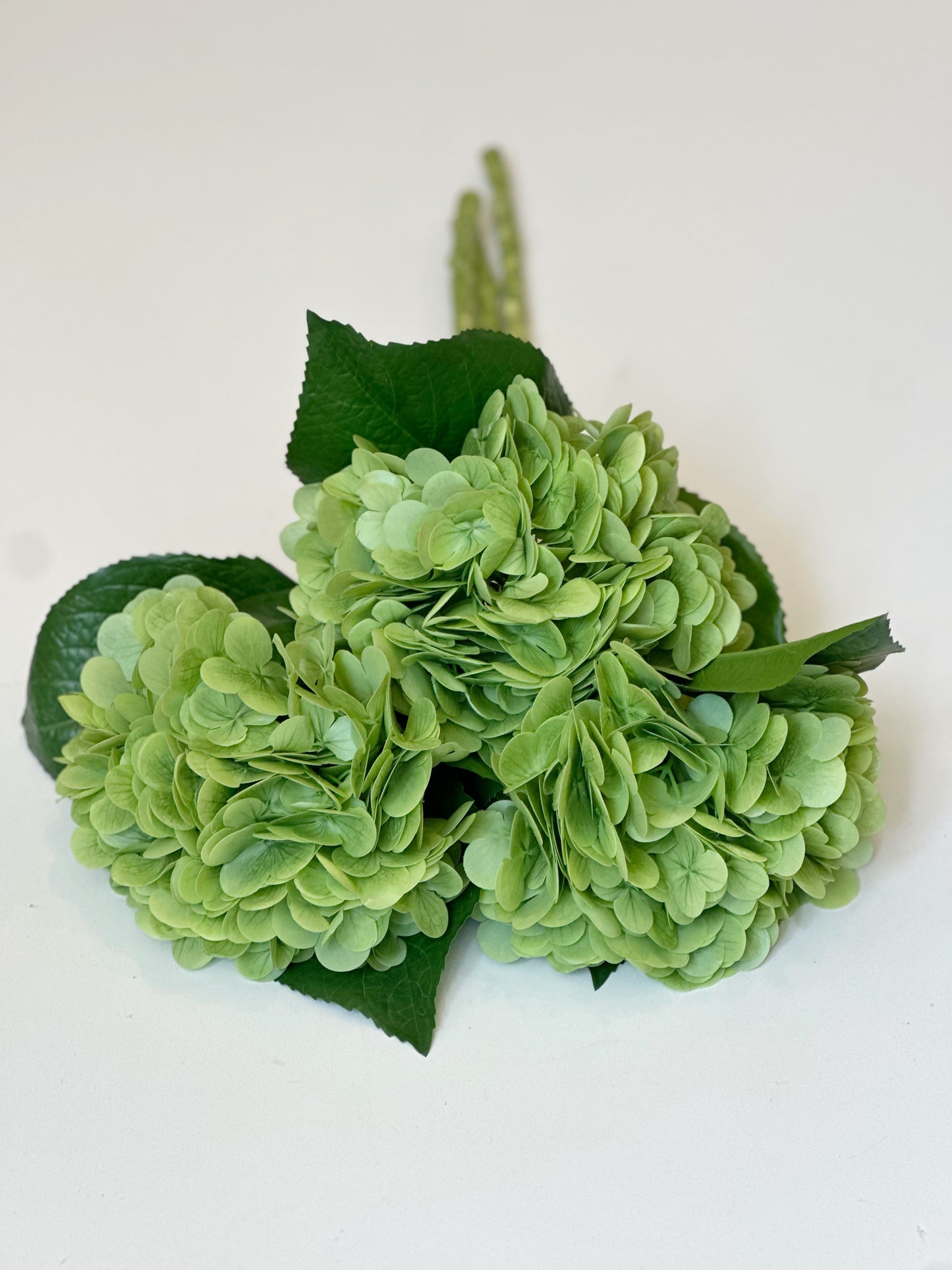 20 INCH GREEN REAL TOUCH HYDRANGEA STEM