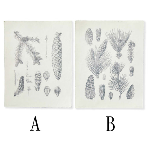 Pinecones & Pine Art with Raw Edge Print 2 Styles