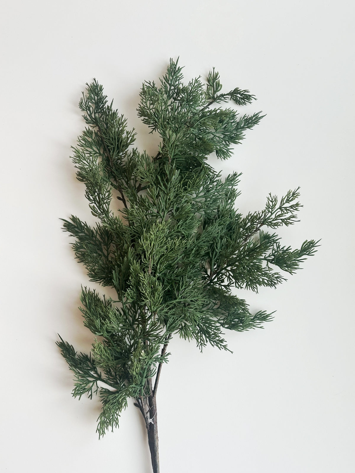 Real Touch Cypress Pine Stem