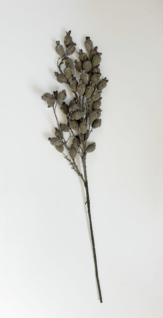 Dried Pod Branch, Green
