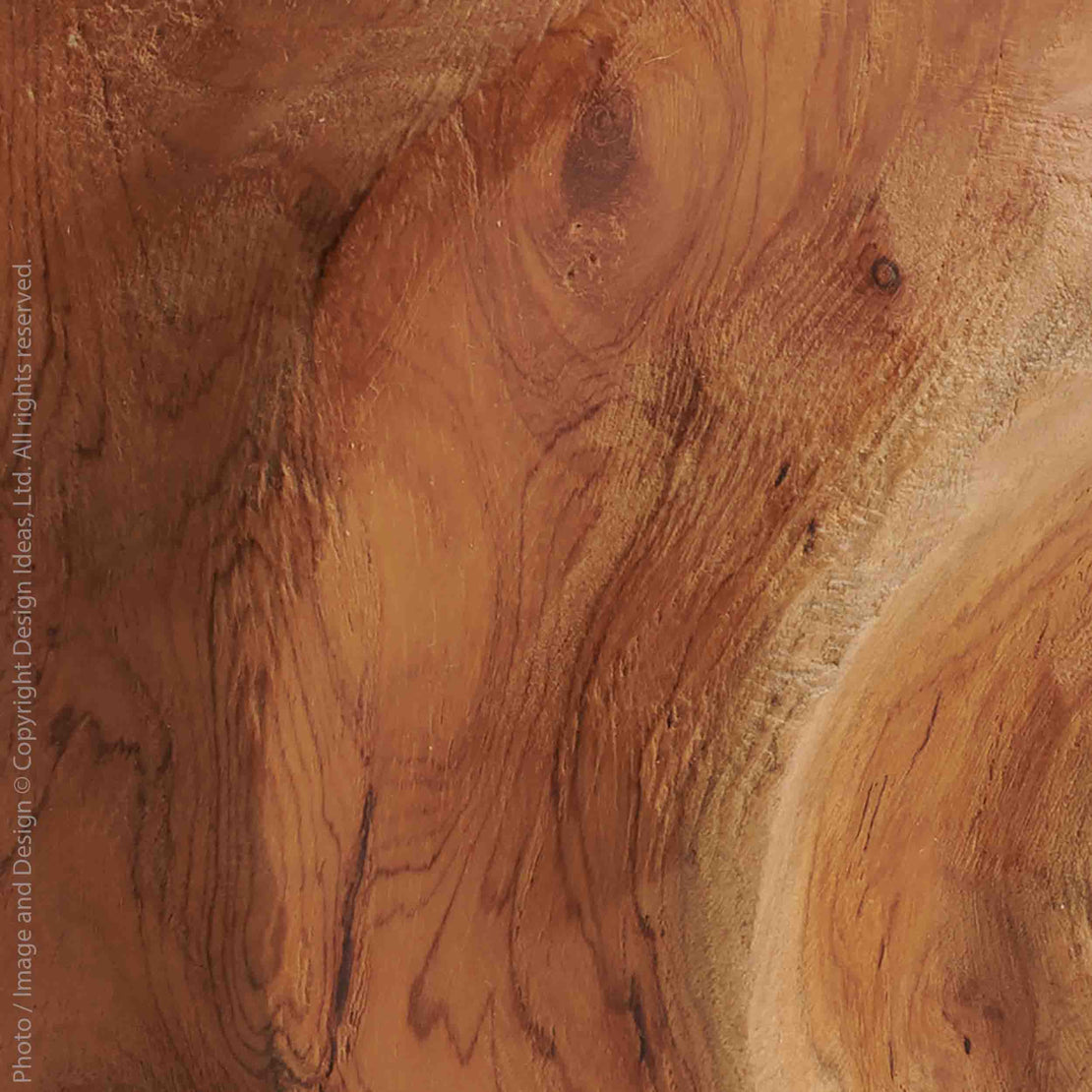 Roman™ snail sculpture