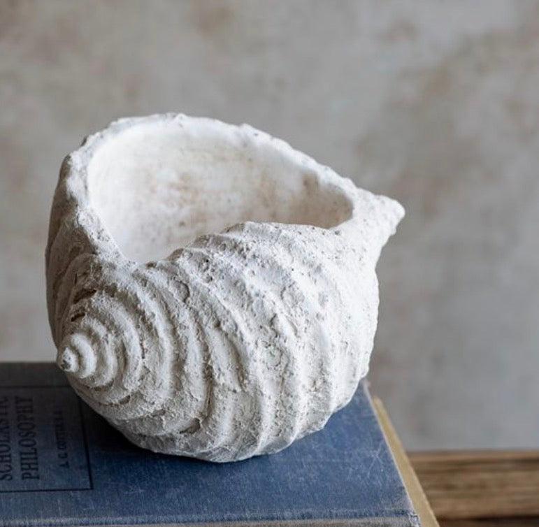 WHITE WEATHERED CONCH SHELL