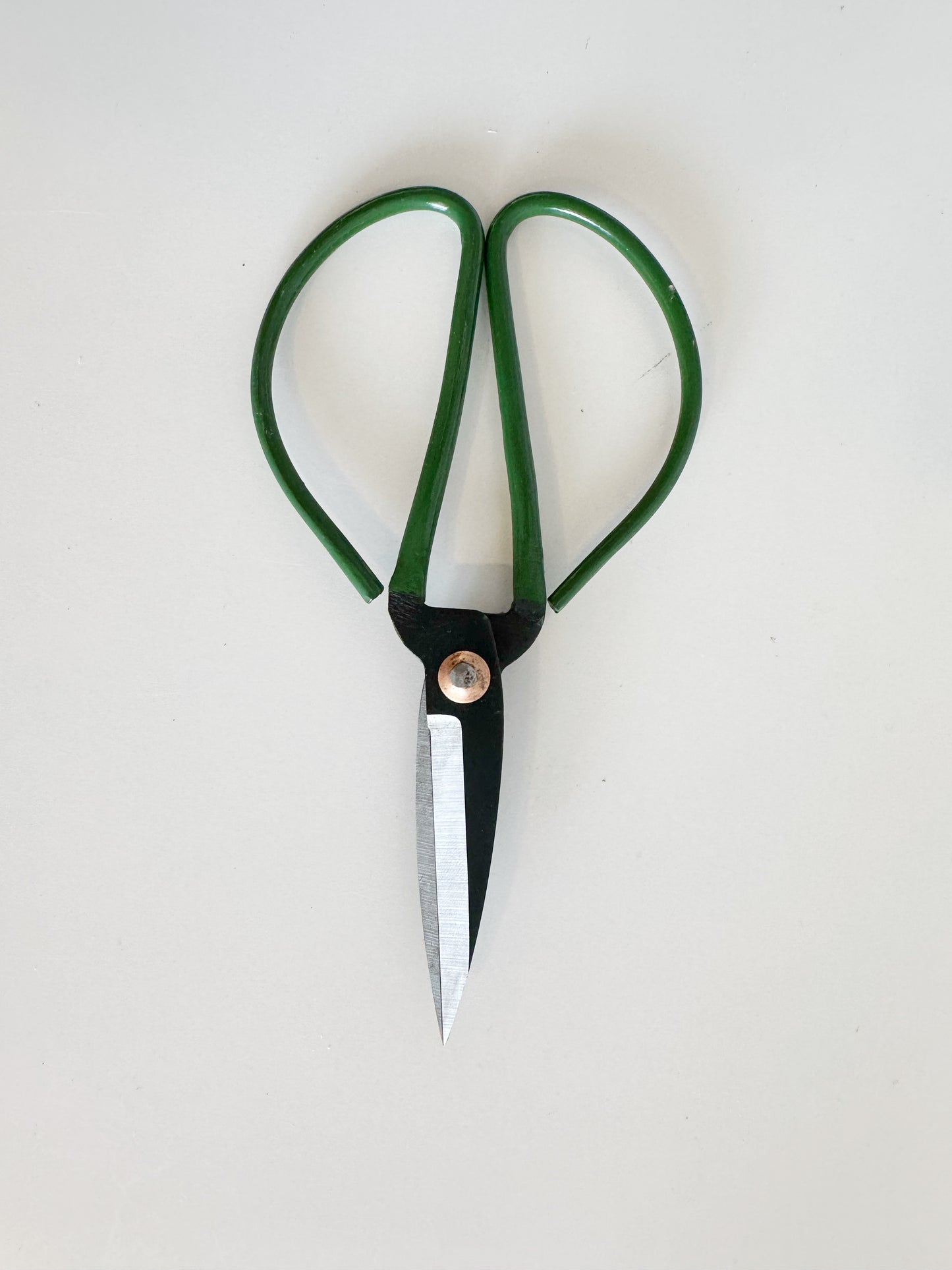 GREEN PLANT SCISSORS