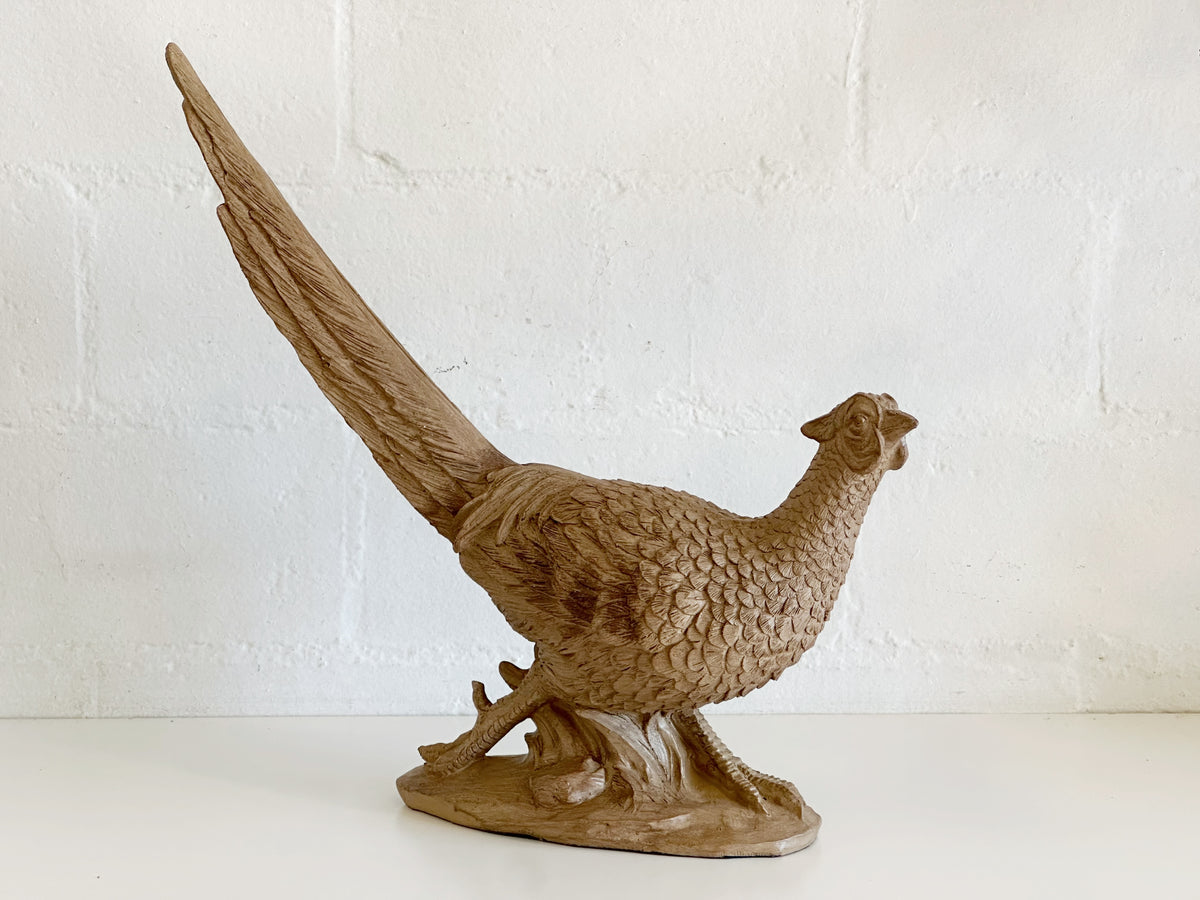 Pheasant