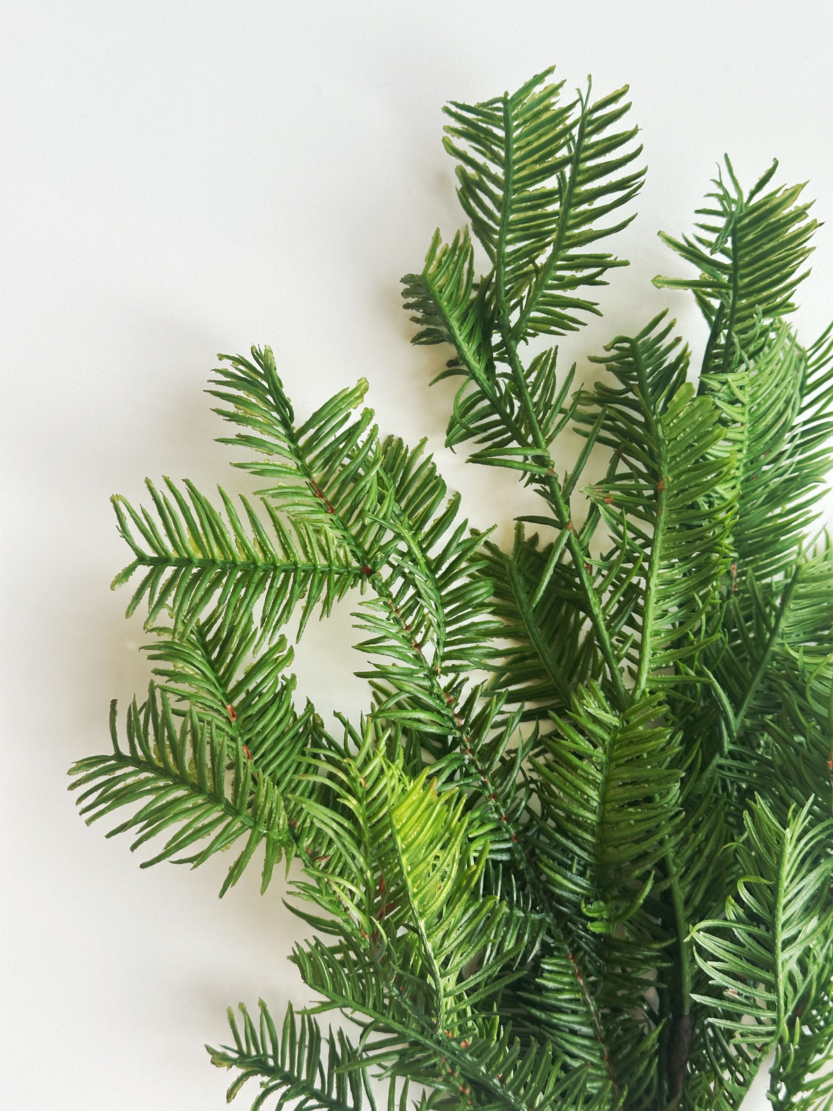 PINE SPRAY STEM