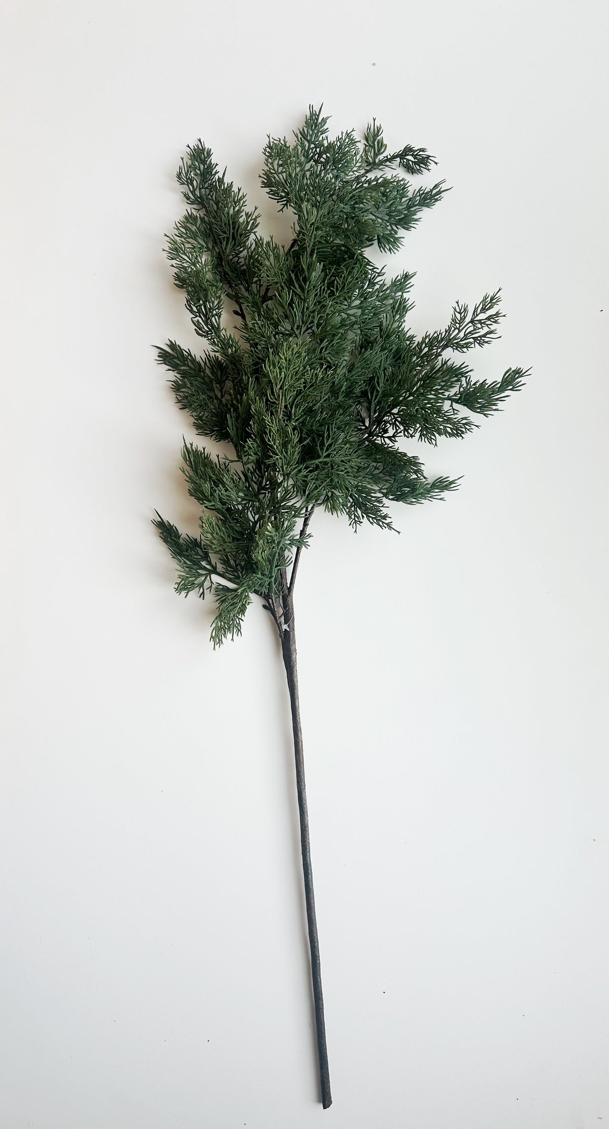 Real Touch Cypress Pine Stem