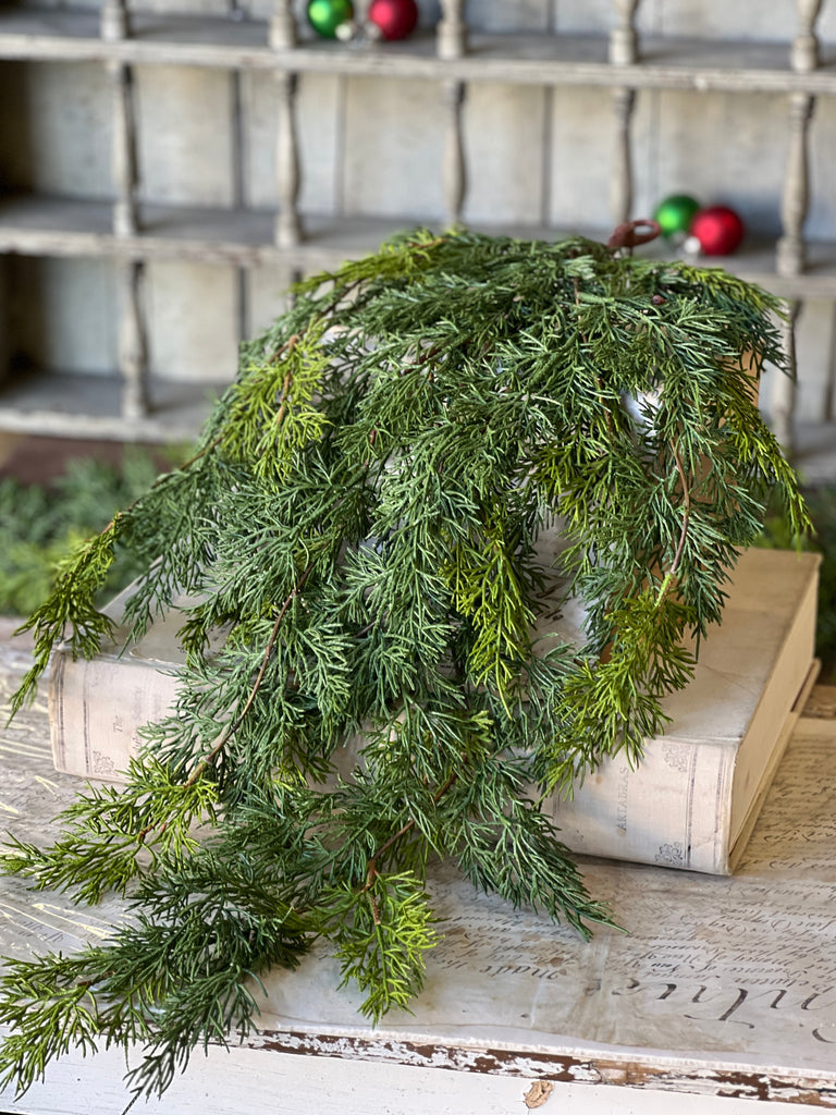 Cedar Hanging | 31"
