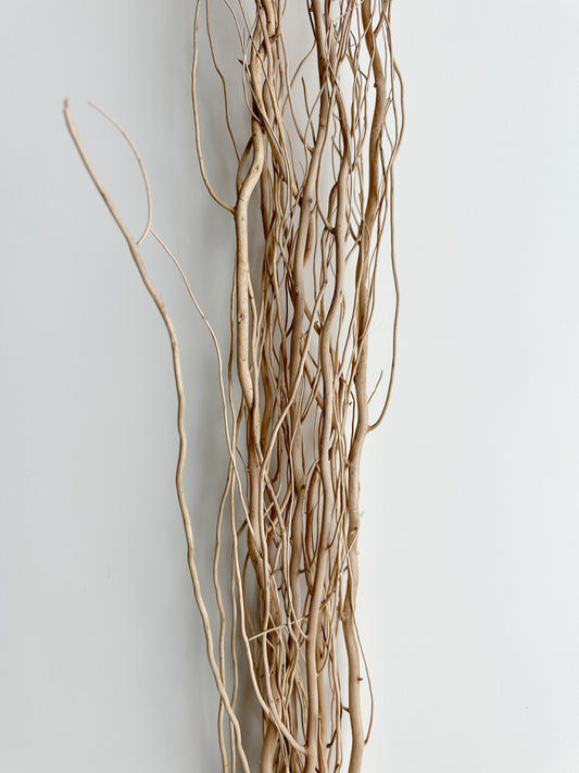 NATURAL SALIX BRANCH