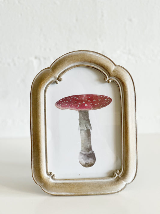 Vintage Style Arched Frame