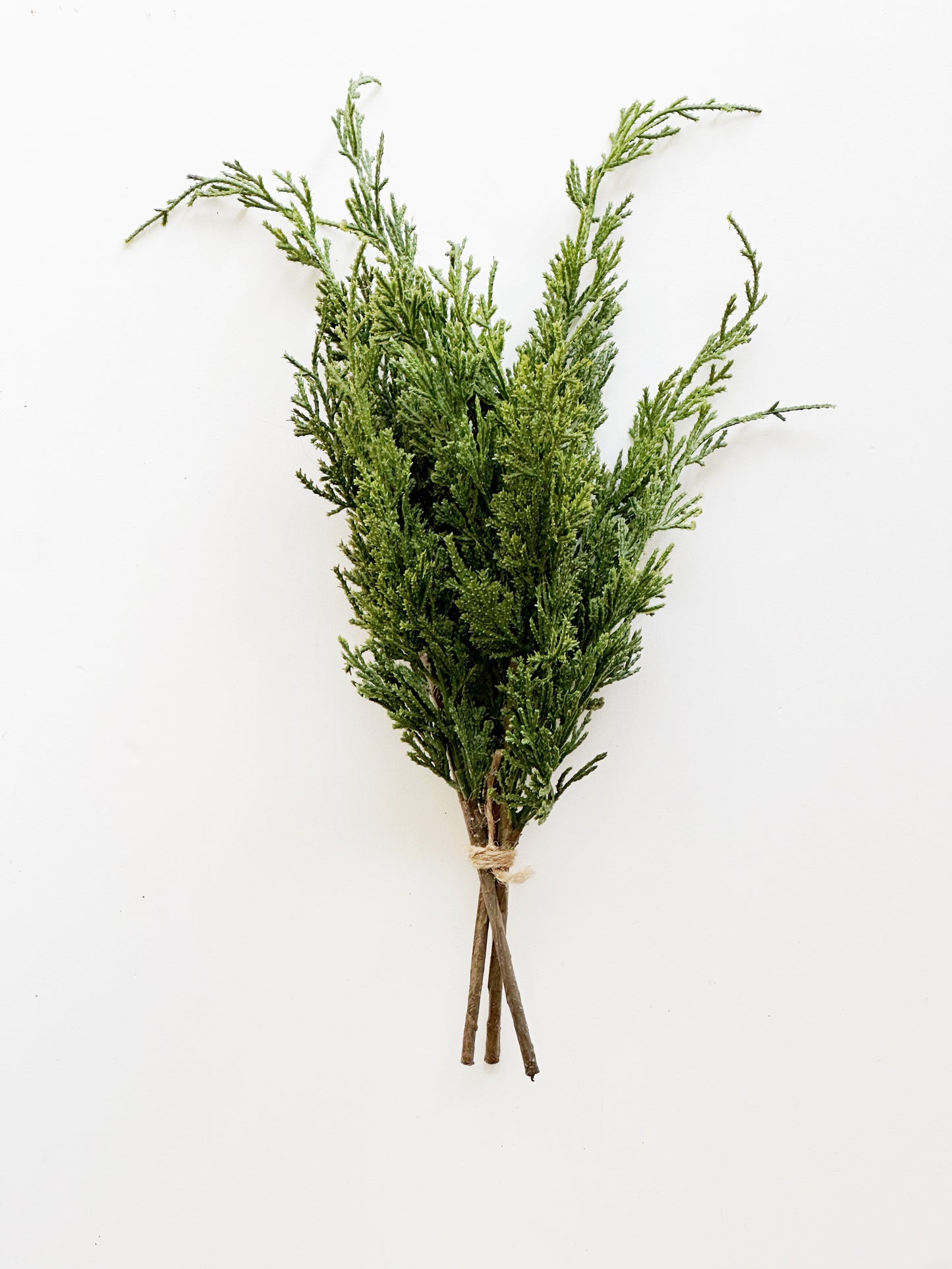 Cypress Bundle
