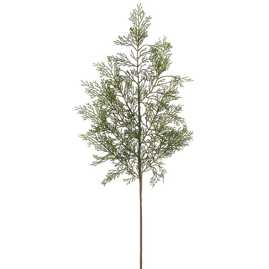 Cedar Spray Stem