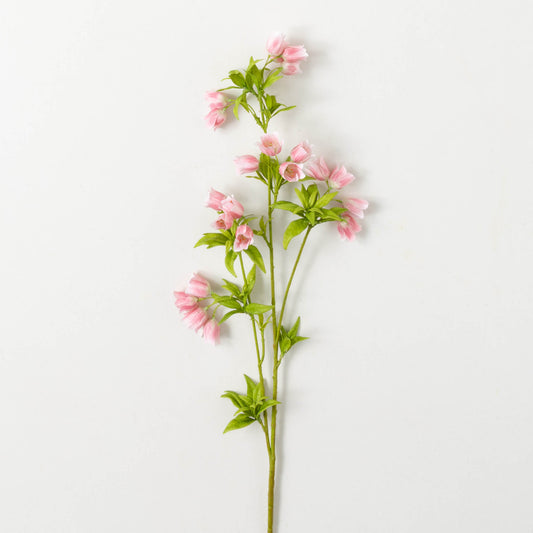 SWEET PINK BELL (ENKIANTHUS) STEM